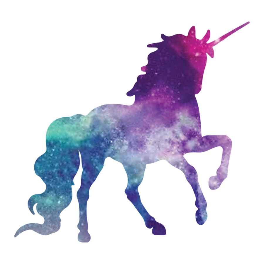 succeed at a unicorn